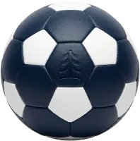 En fotboll