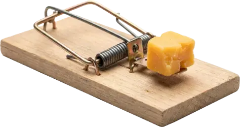 En råttfälla som är laddad med en smarrig bit ost.