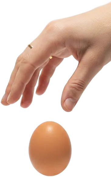 En hand släpper ett hönsägg.