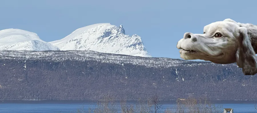 Ett berg som ser ut precis som den flygande hunden Falkor ur Den oändliga historien.
